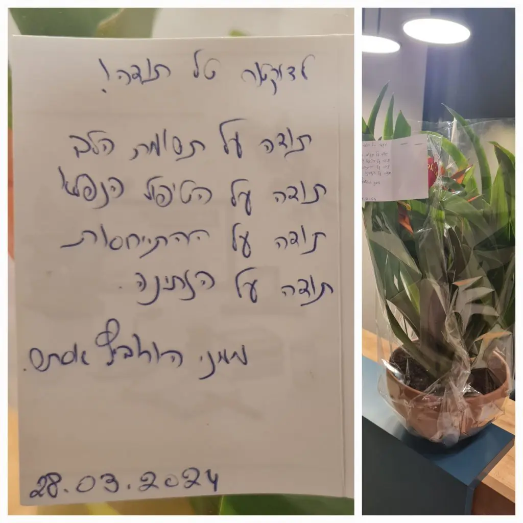 היתרונות של ניתוח אצל מנתח קטרקט מומלץ ובכיר. - ד"ר כפיר טל
