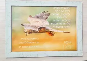 צוות-רפואת-עיניים-טיפול-מקצועי-חוות-דעת